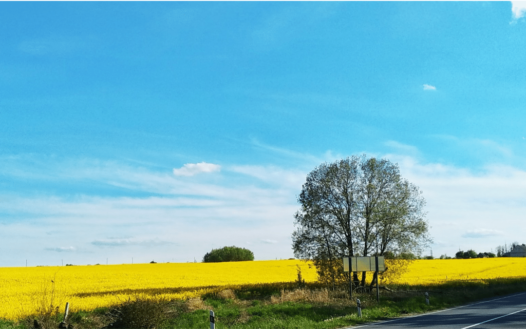 Planning for the future